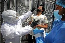  مهمانان در مراسم عروسی گرفتار کرونا شدند