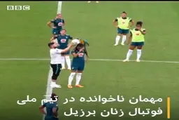هنگام تمرین تیم ملی فوتبال زنان برزیل یک طوطی وارد زمین شد + ویدئو