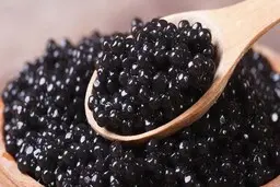 پیش‌بینی افزایش تولید خاویار خوزستان در سال جاری