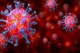 ماندگاری ویروس کرونا روی سطوح مختلف چقدر است؟