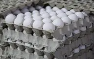 نرخ هر شانه تخم‌مرغ ۳۴ هزار تومان تعیین شده است