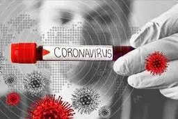 سفیر ایمنی جاده‌ها: مراقب ناقلان خاموش کرونا ویروس باشیم