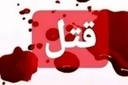 ارث ومیراث این‌بار برادران را به جان هم انداخت | برادر کشی بر سر ارث ومیراث