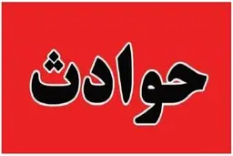 آدم‌ربایی ناکام مرد برجساز در پایتخت | دسیسه شریکانم است | رهگذران مرد برج‌ساز را نجات دادند