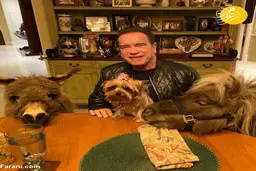 آرنولد با الاغ و اسبش در قرنطینه! 