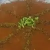 حلوای سوهان خانگی؛ خوش‌طعم، سالم و بدون شکر در ۱۵ دقیقه | طرز تهیه حلوای سوهان خانگی فوری