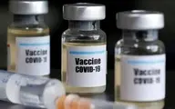 واکسن کرونا تا ۳ هفته دیگر تولید می‌شود؟