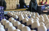 
قیمت هر شانه تخم مرغ ۴۰ هزار تومان
