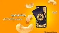 راهنمای خرید مرغوب ترین بادام هندی موجود در بازار ایران