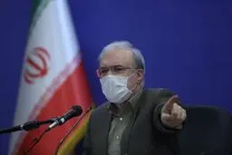 وزیربهداشت :  140پروژه طب سنتی در کووید ١٩ میسربود