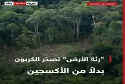 جنگل‌های آمازون در یک دهه اخیر بیش از جذب دی‌اکسید کربن، آن را منتشر کرده‌اند + ویدئو