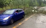 طوفان سنگین کانادا کشته بر جای گذاشت!
