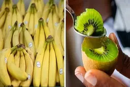 پوست بسیاری از میوه ها که خوردن  آنهابرای بدن مفید است