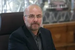 ایران و افغانستان می توانند با دخالت کشورها در منطقه مبارزه کنند