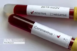 امارات پروازهای ایران را تعلیق کرد