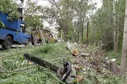 جنگل های ایران به غارت رفت! | کاهش 6 میلیون هکتار از جنگل های ایران زمین