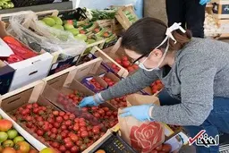 
آیا باید از مواد غذایی خود در حین COVID-۱۹ ضد عفونی شوید؟
