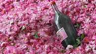 دیگه خودتو برای گلاب خریدن به خرج ننداز! | طرز تهیه گلاب خانگی +ویدئو