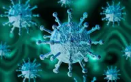  ویروس کرونا ماندگار خواهد بود |  ۱۰ ژن برتر دخیل در بروز کرونا  شناسایی شد