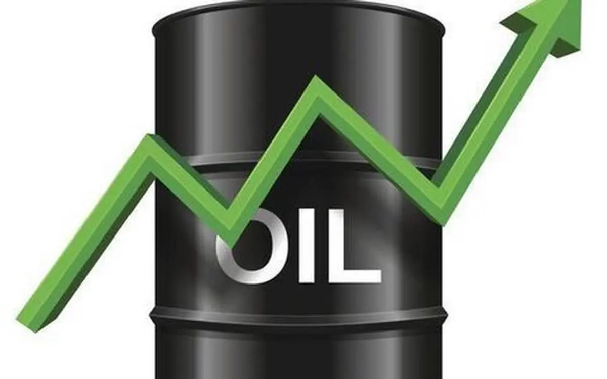  قیمت نفت افزایش خواهد یافت  |  کشورهای در حال توسعه نگران هستند