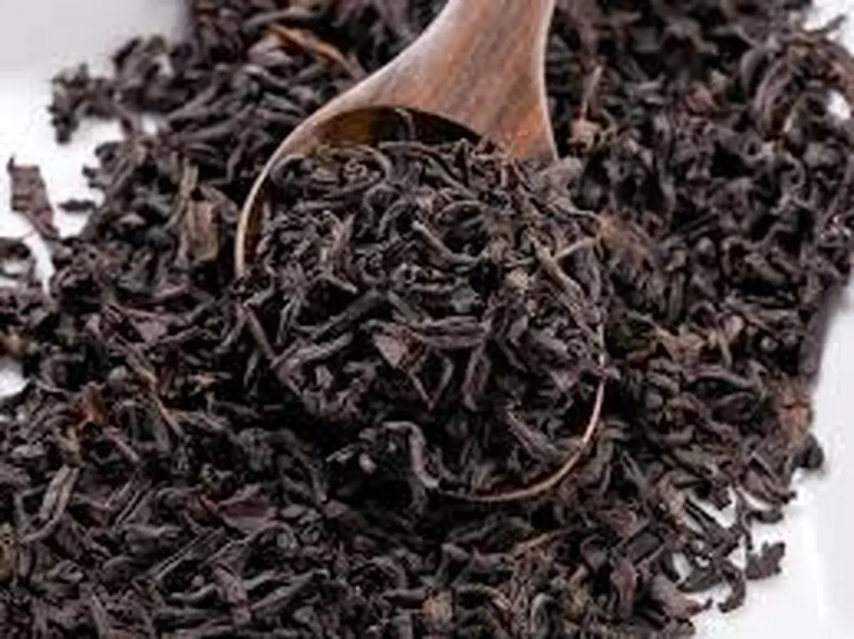 خواص تفاله چای برای مصارف خانگی | دیگه تفاله چایی رو دور ننداز کلی خواص داره +ویدئو