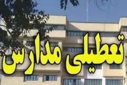 تعطیلی مدارس و آموزش تنبلی به دانش‌آموزان

