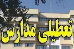 تعطیلی مدارس و آموزش تنبلی به دانش‌آموزان
