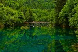 شعر درباره طبیعت | با این شعرها در طبیعت زندگی کنید