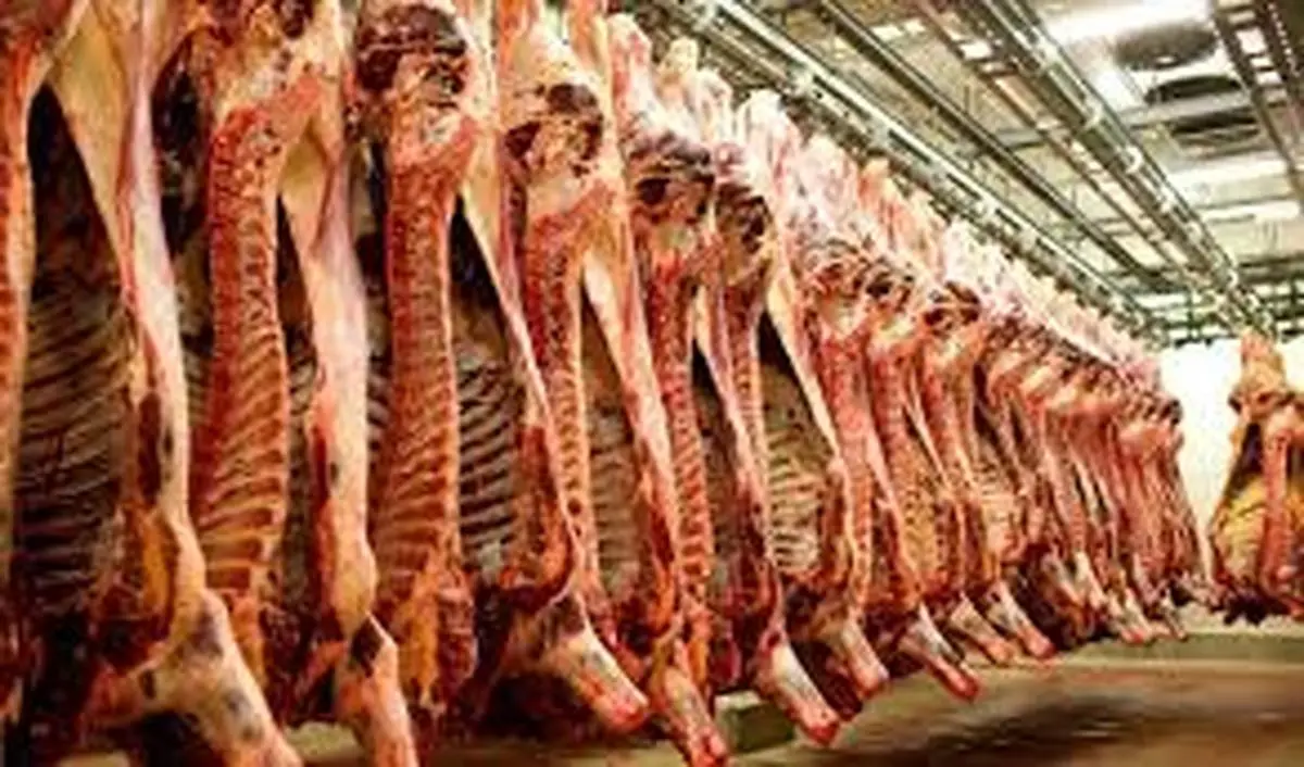  واردات گوشت از برزیل امسال به ۳۰ هزار تن کاهش‌یافته