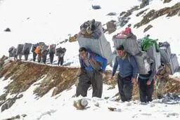 لایحه حمایت از کولبرها تایید شد