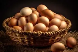 کف قیمت هر شانه تخم‌مرغ اعلام شد | هر عدد تخم‌مرغ چند؟