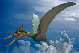 کشف غول پیکر ترین فسیلی که تا الان وجود داشته!+ ویدئو