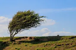سرعت وزش باد در دورود لرستان به ۱۰۴ کیلومتر بر ساعت رسید