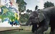 فیل‌های که تابلوهای نقاشی خلق می‌کنند