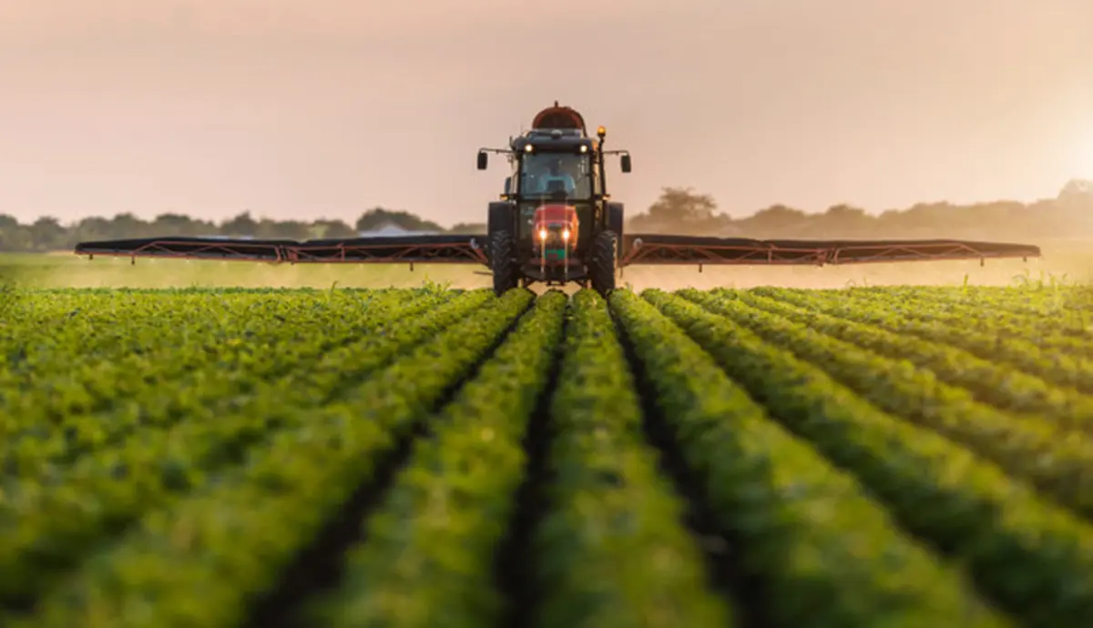۳۵‌درصد محصولات کشاورزی در فرآیند صادرات از بین می‌رود