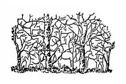 در این تصویر سیاه و سفید چند حیوان می بینید؟+ پاسخ