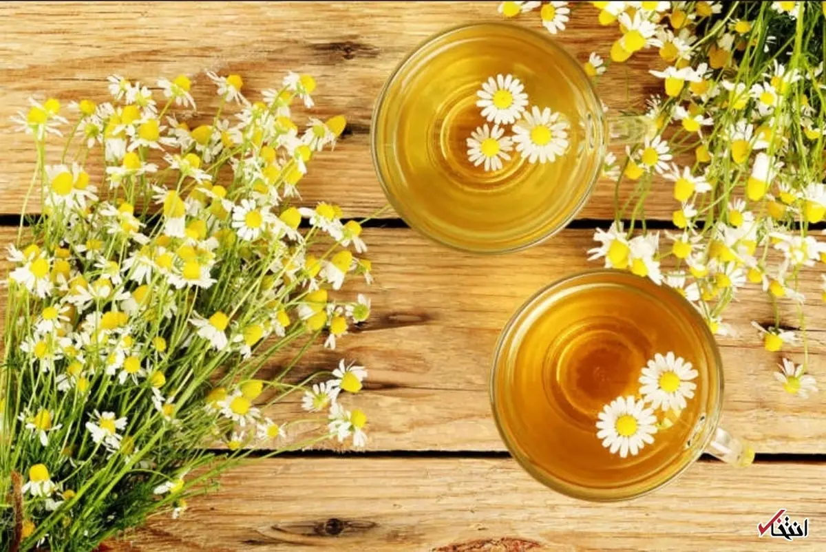 دمنوش‌های گیاهی برای سلامتی و شادی (قسمت دوم)