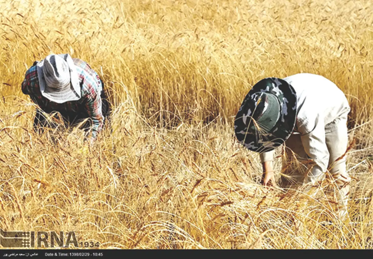 دَر به همین پاشنه بچرخد گندم نمی‌کاریم