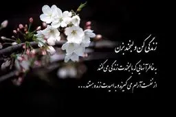 حال و احوال ۲۰ آذر 