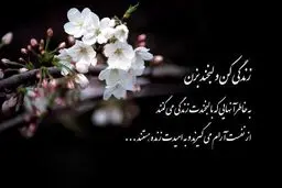 حال و احوال ۲۰ آذر 