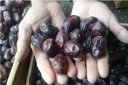 
هر کیلوگرم رطب به ۷۰ هزار تومان رسید
