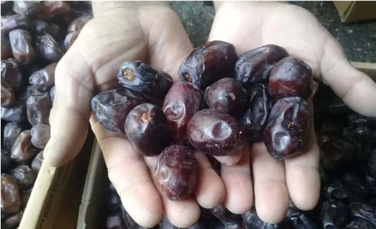 
هر کیلوگرم رطب به ۷۰ هزار تومان رسید
