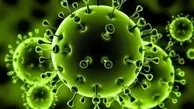 تأثیر ویروس کرونا بر باروری زنان  |  نتایج تحقیلقات مشخص شد