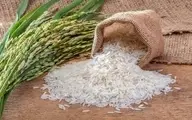 ظرف یک هفته قیمت برنج را به نرخ مصوب برمی‌گردانیم 