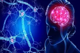 وقتی کسی بخشی از مغز ما می شود  | دلبستگی، بازنویسی نقشه‌ مغز با نام یک نفر!