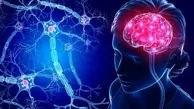 وقتی کسی بخشی از مغز ما می شود  | دلبستگی، بازنویسی نقشه‌ مغز با نام یک نفر!