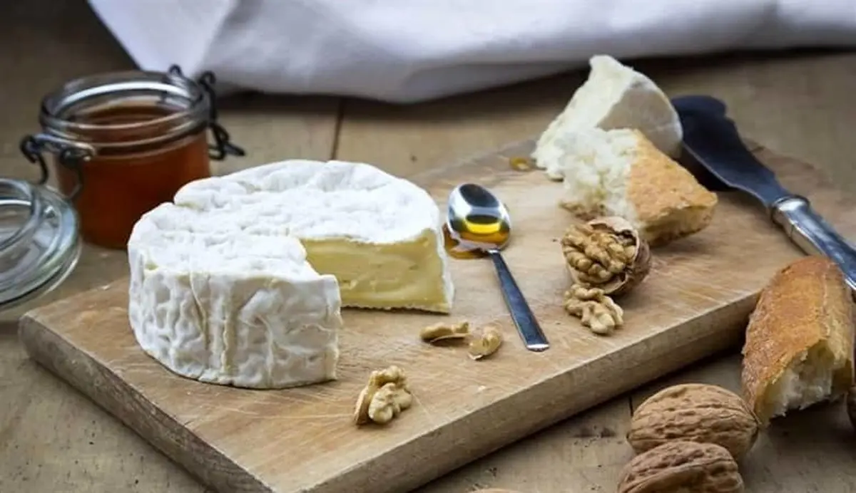 کشف پنیرهای سفید 2600 ساله | تصویری از این کشف بزرگ که شما را شوکه می کند !