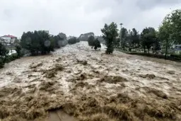 هشدار زرد هواشناسی: بارش باران و برف، وزش باد شدید و احتمال مخاطرات جوی در این استان ها | مسافران از سفرهای غیرضروری خودداری کنند