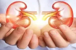 عادت های خطرناک برای کلیه ها 