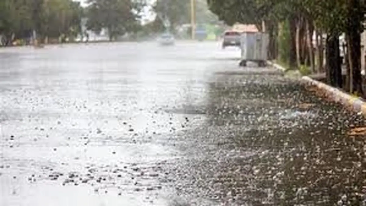 
کاهش ۶ تا ۱۰ درجه ای دما در شرق و مرکز کشور
